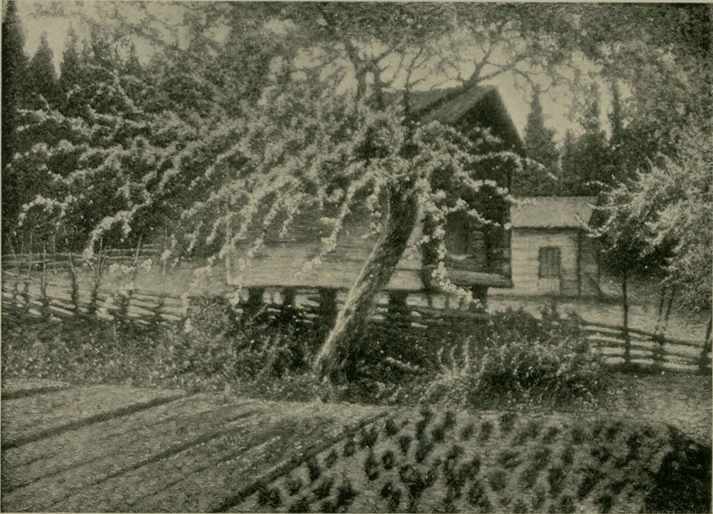 An illustration from The Swedish art exhibition [electronic resource], 1916, leaf 67