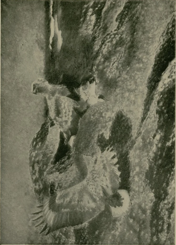 An illustration from The Swedish art exhibition [electronic resource], 1916, leaf 69