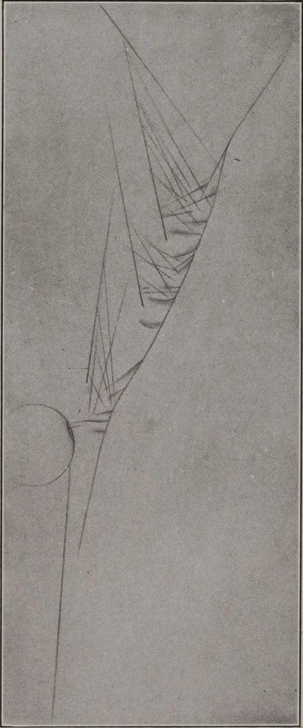 An illustration from Annual exhibition [electronic resource] : no jury, no prizes, 1917, leaf 65