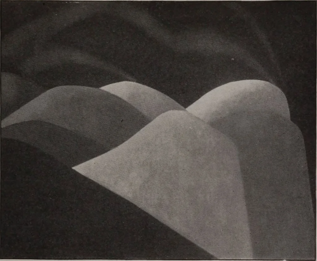 An illustration from Annual exhibition [electronic resource] : no jury, no prizes, 1917, leaf 76