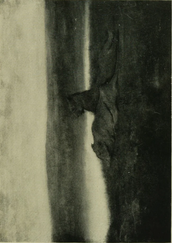 An illustration from Modern British paintings and ancient Egyptian ivories, from the collection of Mr. Geo. A. Hearn [electronic resource] : [exhibition] Saturday, March 22, to Sunday, March 30 ..., 1913, leaf 30