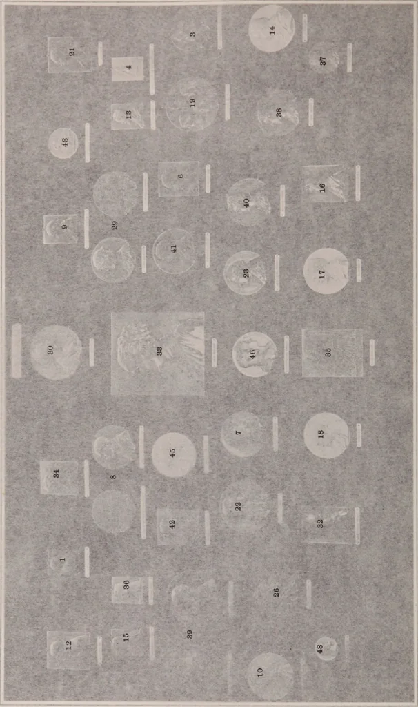 An illustration from Catalogue of the international exhibition of contemporary medals. March, 1910 [electronic resource], 1911, leaf 103