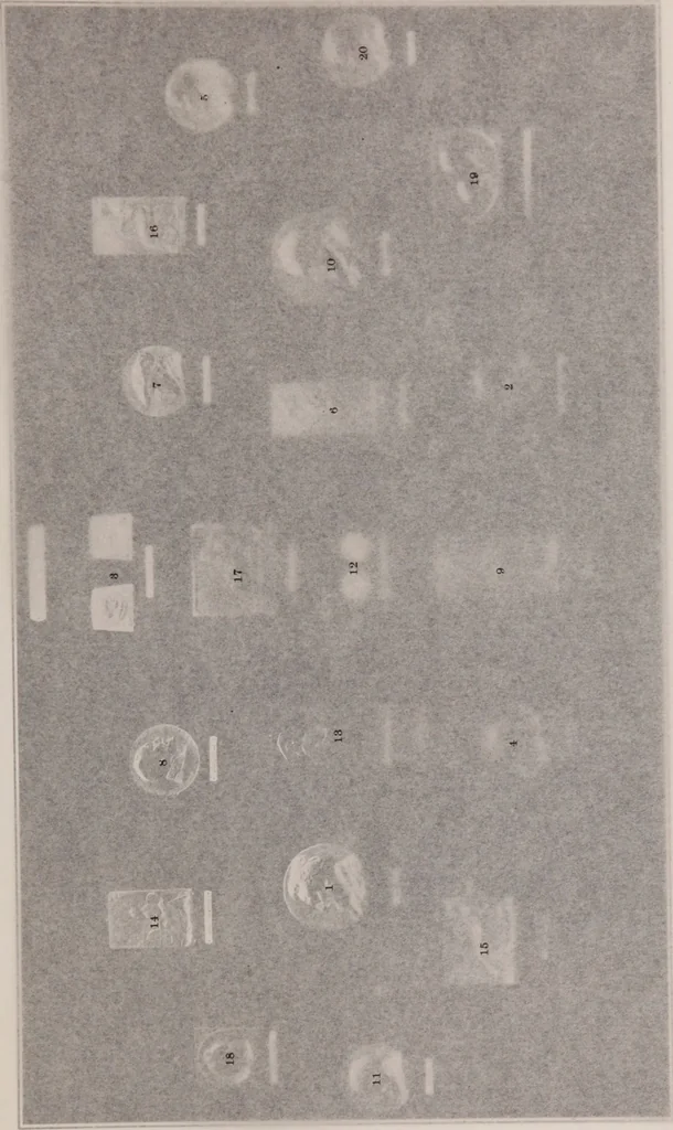 An illustration from Catalogue of the international exhibition of contemporary medals. March, 1910 [electronic resource], 1911, leaf 118