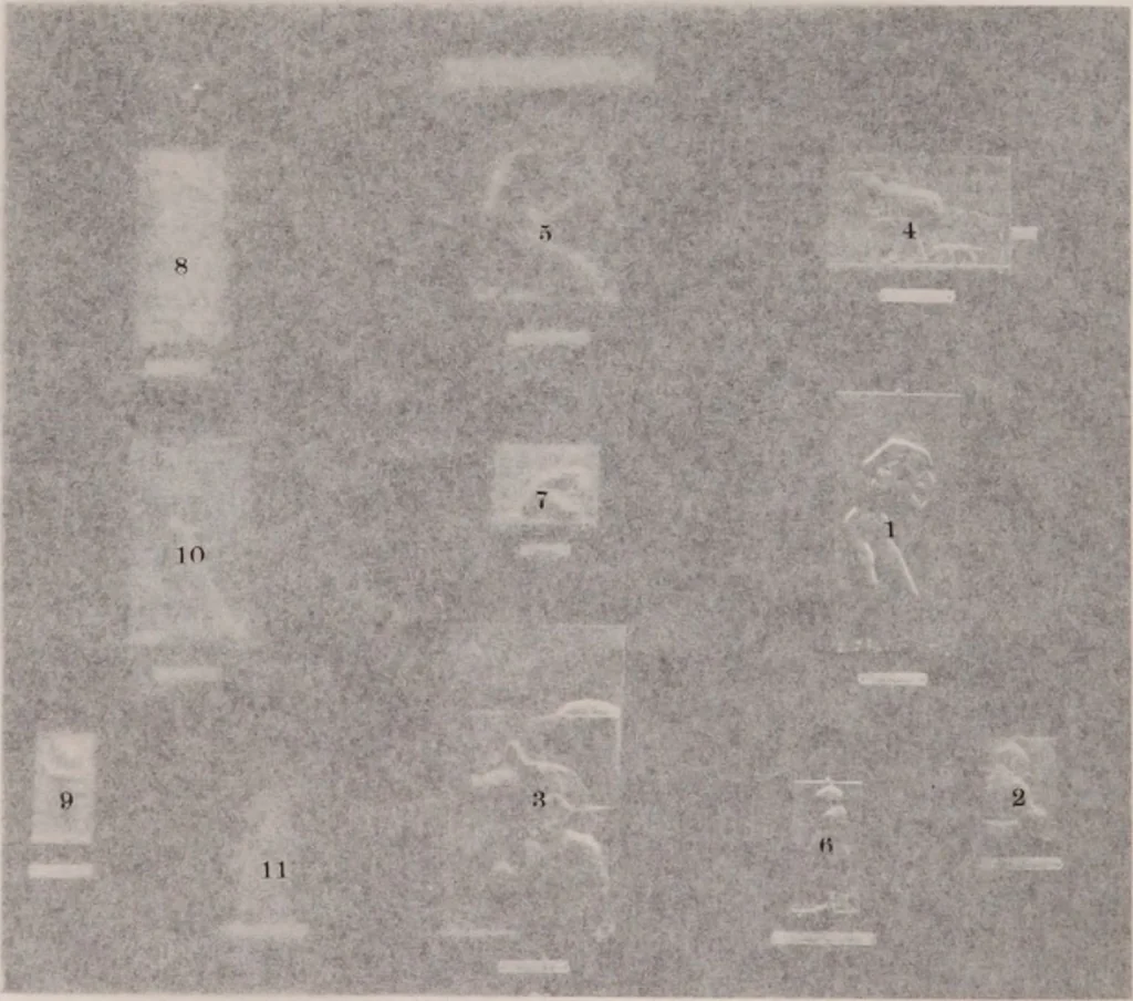 An illustration from Catalogue of the international exhibition of contemporary medals. March, 1910 [electronic resource], 1911, leaf 133