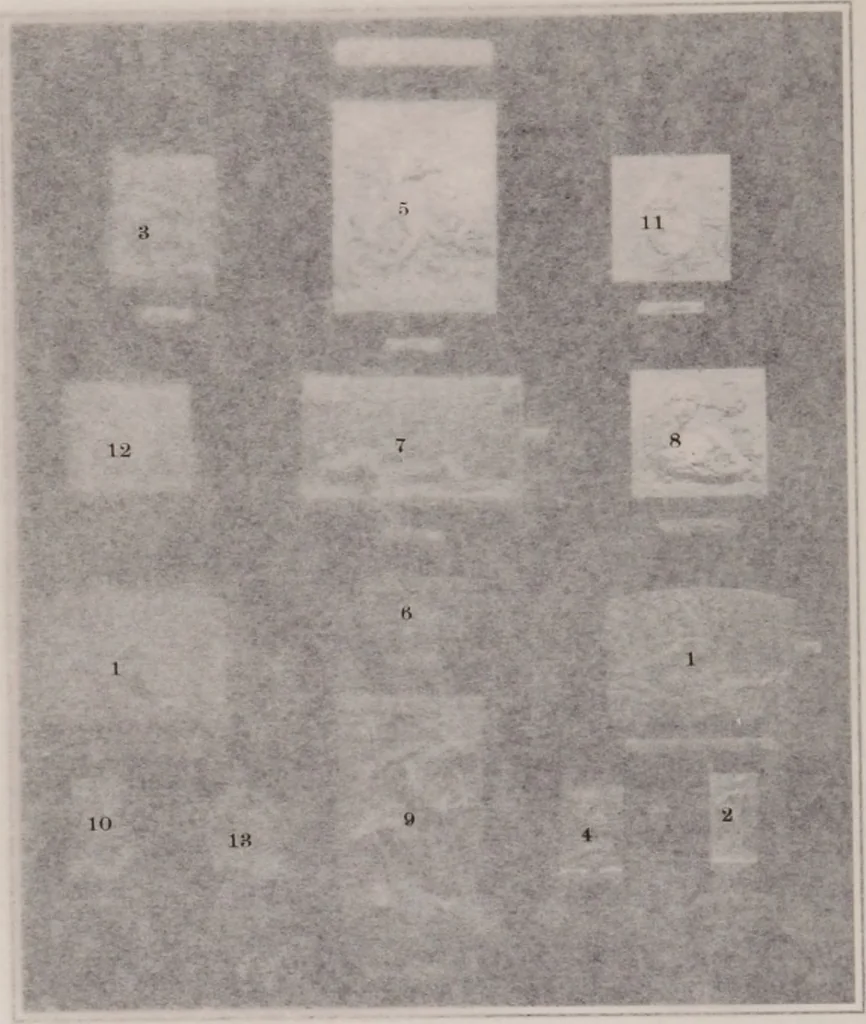 An illustration from Catalogue of the international exhibition of contemporary medals. March, 1910 [electronic resource], 1911, leaf 161