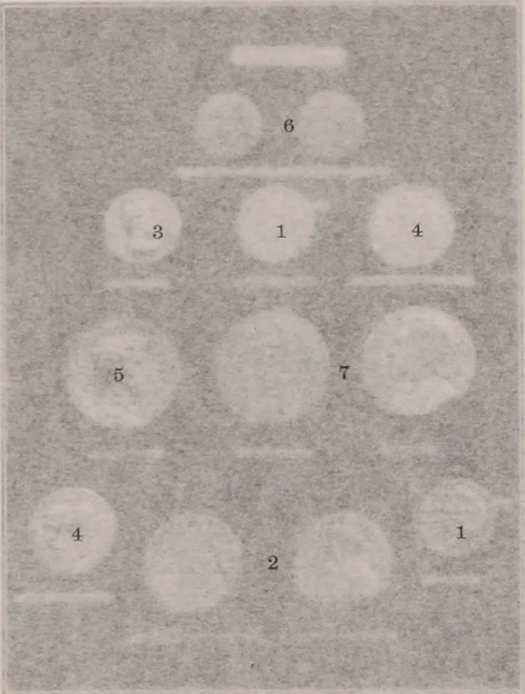 An illustration from Catalogue of the international exhibition of contemporary medals. March, 1910 [electronic resource], 1911, leaf 253