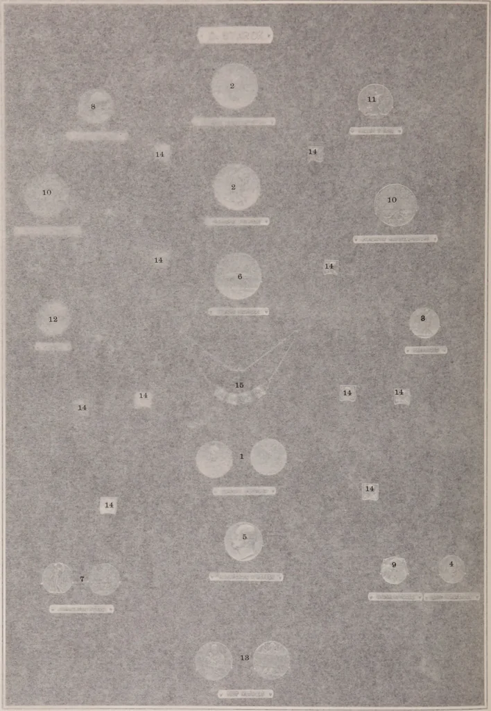An illustration from Catalogue of the international exhibition of contemporary medals. March, 1910 [electronic resource], 1911, leaf 371