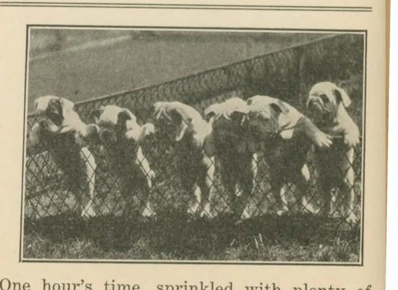 An illustration from September 1927, 1927, leaf 15