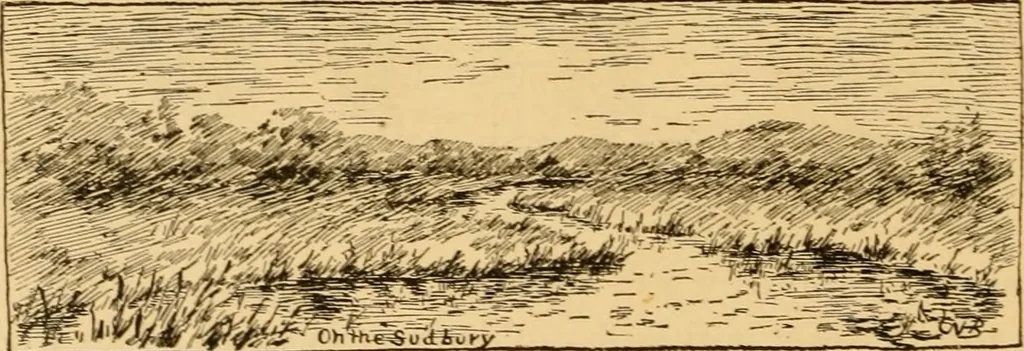 An illustration from Boating trips on New England rivers, 1884, leaf 35