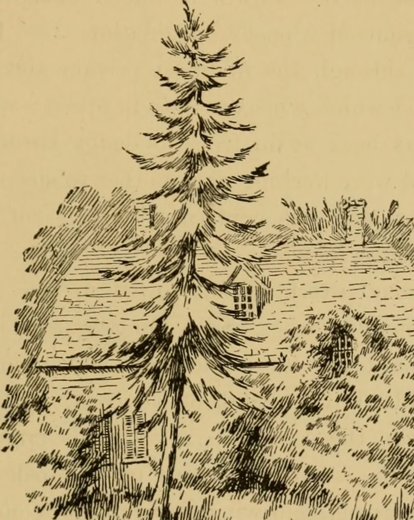 An illustration from Boating trips on New England rivers, 1884, leaf 40