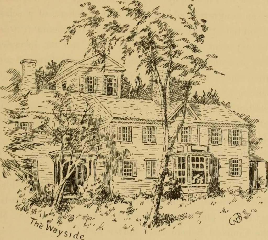 An illustration from Boating trips on New England rivers, 1884, leaf 42