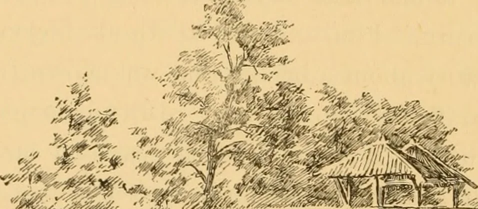 An illustration from Boating trips on New England rivers, 1884, leaf 45
