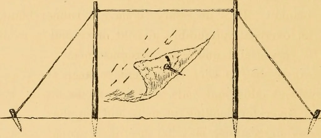 An illustration from Boating trips on New England rivers, 1884, leaf 59