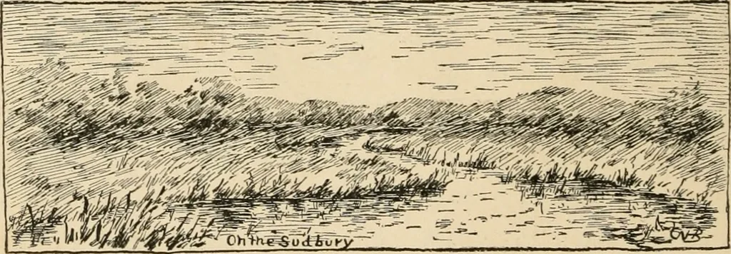 An illustration from Boating trips on New England rivers, 1884, leaf 35