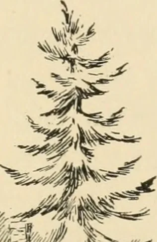 An illustration from Boating trips on New England rivers, 1884, leaf 40