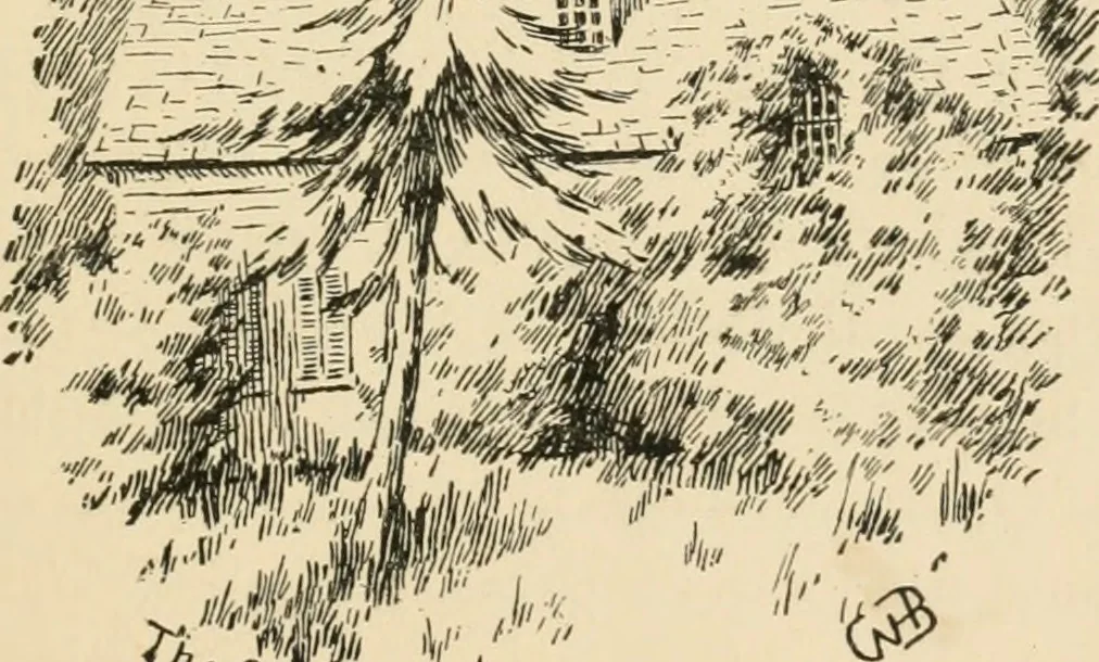 An illustration from Boating trips on New England rivers, 1884, leaf 40