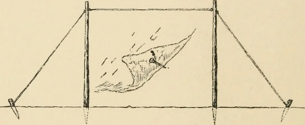 An illustration from Boating trips on New England rivers, 1884, leaf 59
