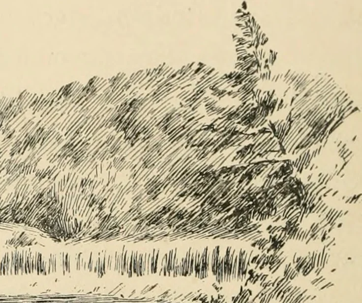 An illustration from Boating trips on New England rivers, 1884, leaf 89
