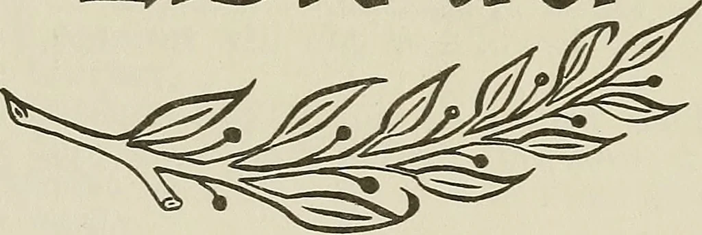 An illustration from Boating trips on New England rivers, 1884, leaf 1