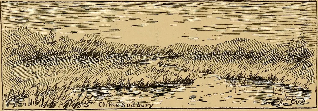An illustration from Boating trips on New England rivers, 1884, leaf 35
