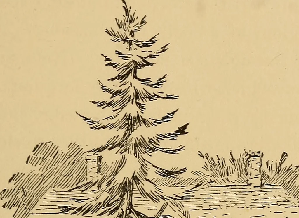 An illustration from Boating trips on New England rivers, 1884, leaf 40