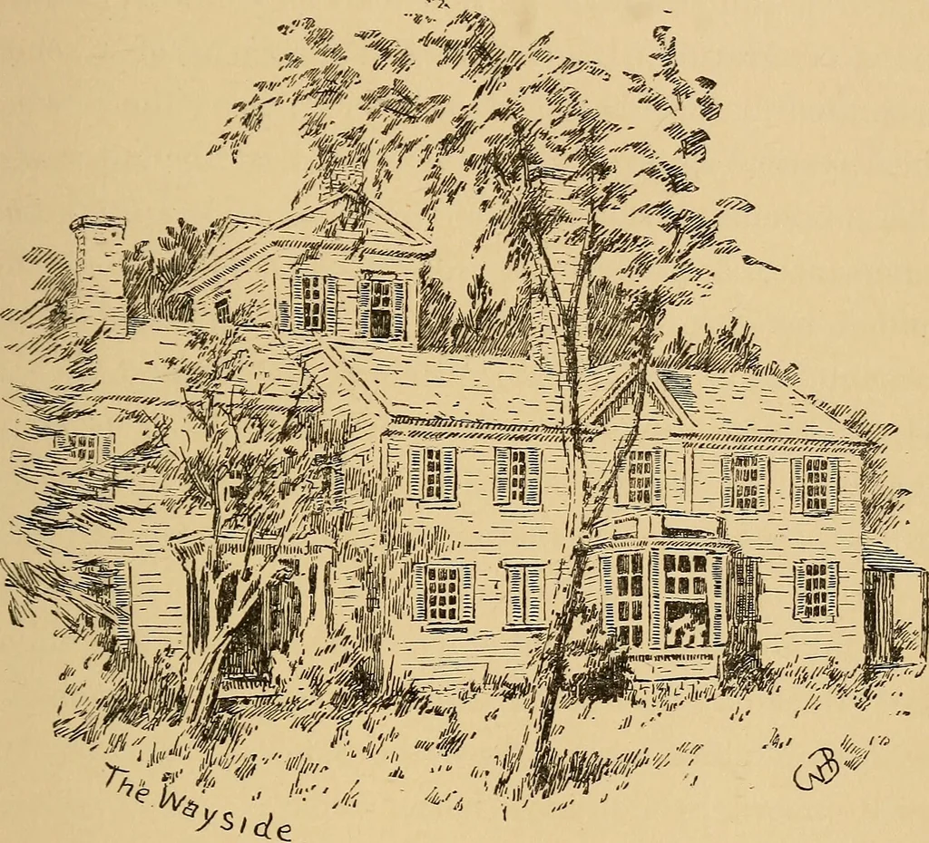 An illustration from Boating trips on New England rivers, 1884, leaf 42
