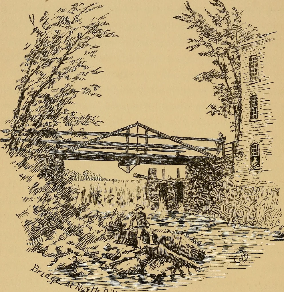 An illustration from Boating trips on New England rivers, 1884, leaf 49