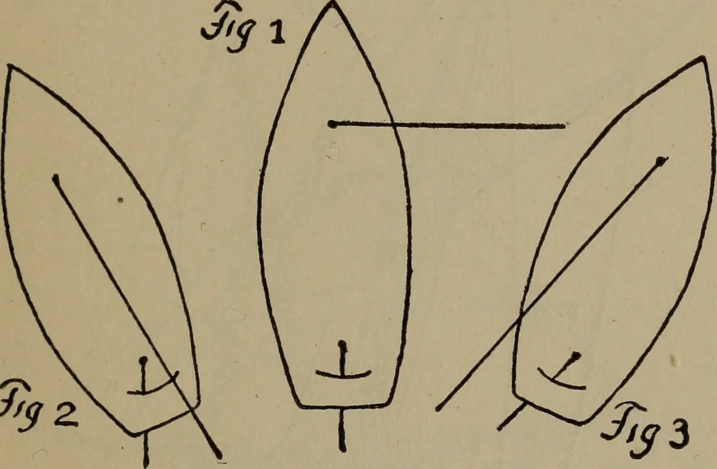 An illustration from Boat sailing in fair weather and foul, 1903, leaf 128