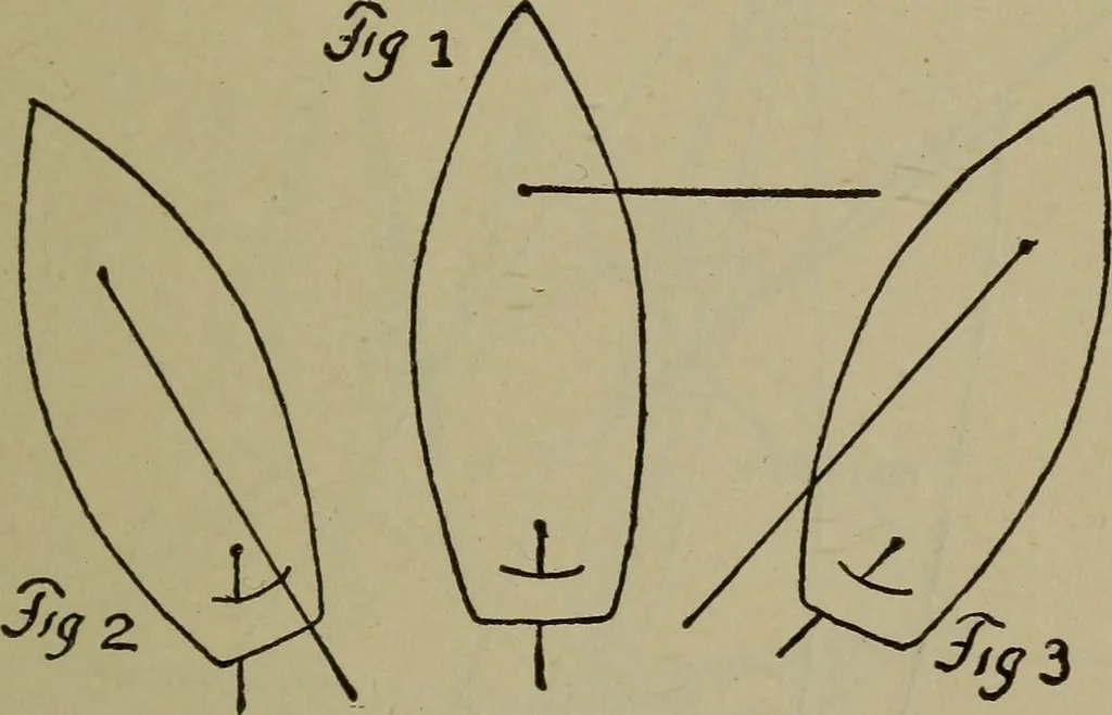 An illustration from Boat sailing in fair weather and foul, 1903, leaf 130