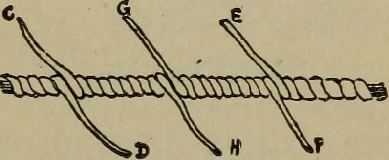 An illustration from Boat sailing in fair weather and foul, 1903, leaf 208