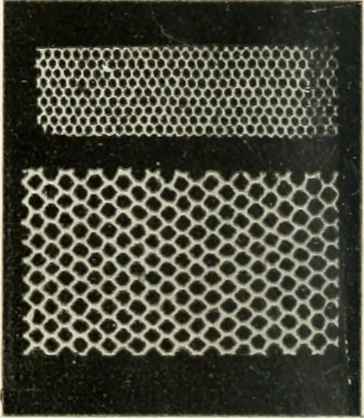An illustration from Bobbins of Belgium; a book of Belgian lace, lace-workers, lace-schools and lace-villages, 1920, leaf 11