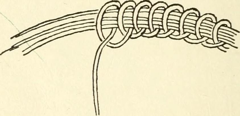 An illustration from Bobbins of Belgium; a book of Belgian lace, lace-workers, lace-schools and lace-villages, 1920, leaf 341
