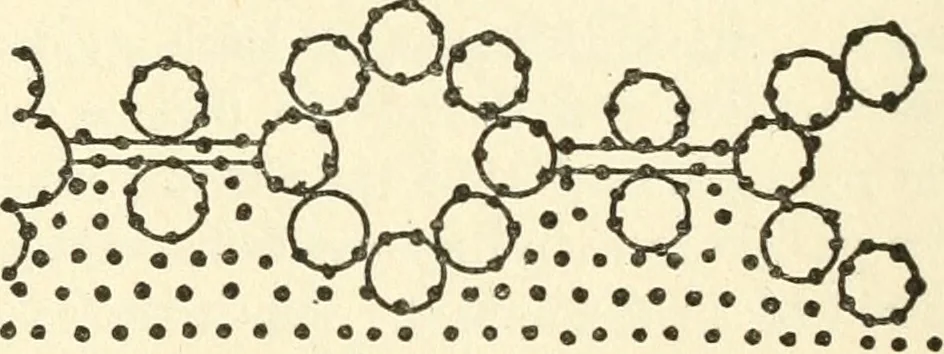 An illustration from Bobbins of Belgium; a book of Belgian lace, lace-workers, lace-schools and lace-villages, 1920, leaf 349
