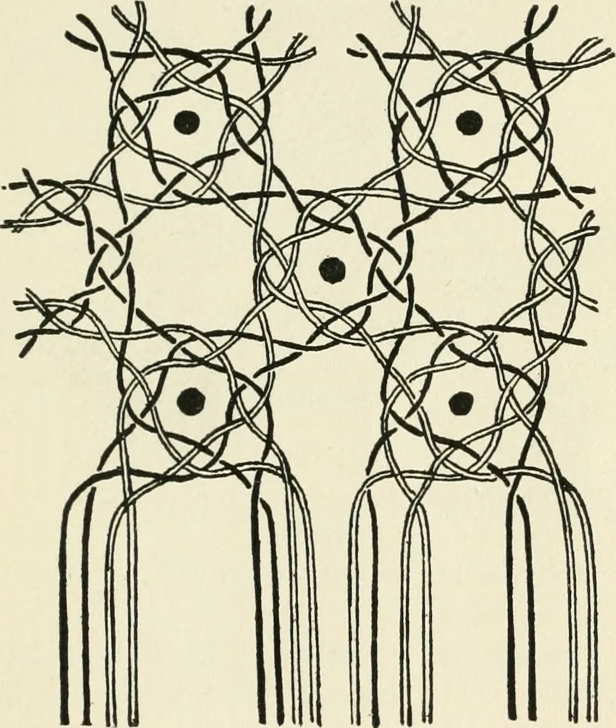 An illustration from Bobbins of Belgium; a book of Belgian lace, lace-workers, lace-schools and lace-villages, 1920, leaf 352
