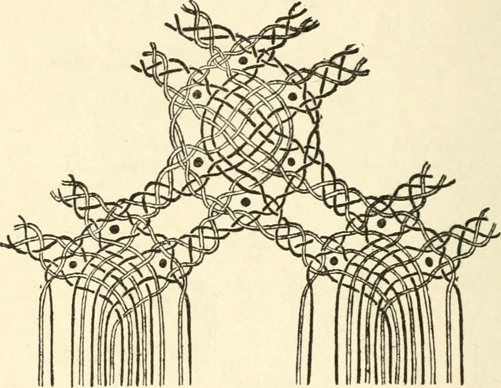 An illustration from Bobbins of Belgium; a book of Belgian lace, lace-workers, lace-schools and lace-villages, 1920, leaf 353
