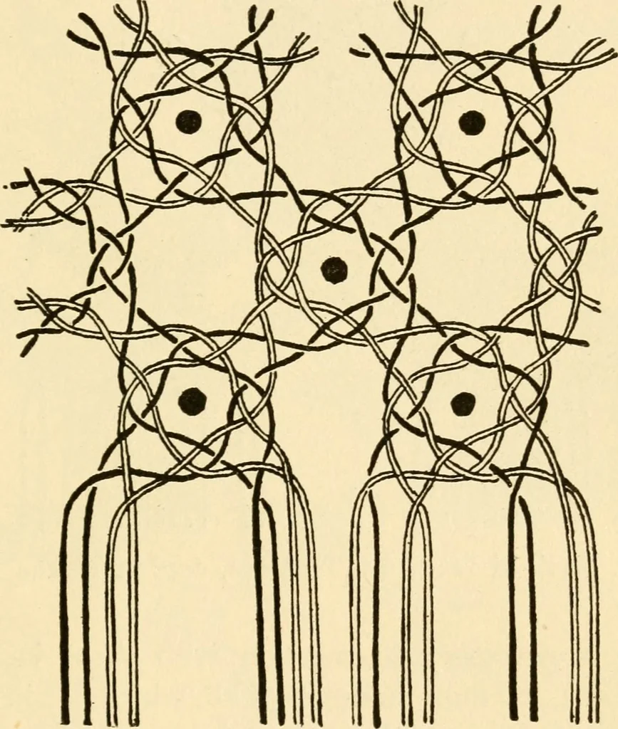An illustration from Bobbins of Belgium; a book of Belgian lace, lace-workers, lace-schools and lace-villages, 1920, leaf 346