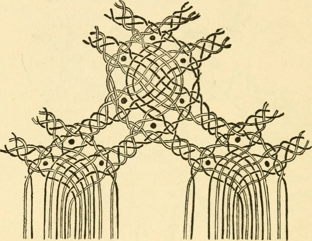 An illustration from Bobbins of Belgium; a book of Belgian lace, lace-workers, lace-schools and lace-villages, 1920, leaf 347