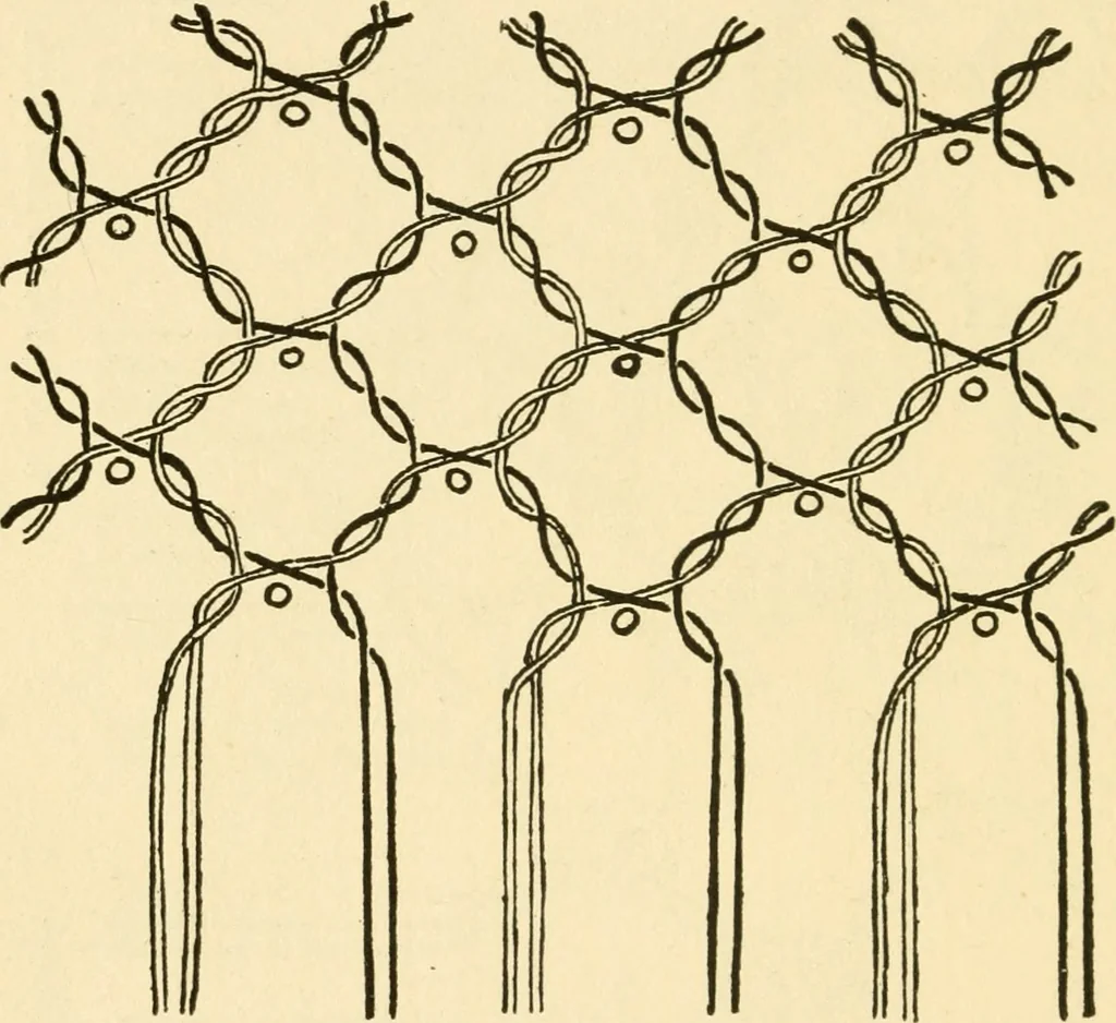 An illustration from Bobbins of Belgium; a book of Belgian lace, lace-workers, lace-schools and lace-villages, 1920, leaf 349