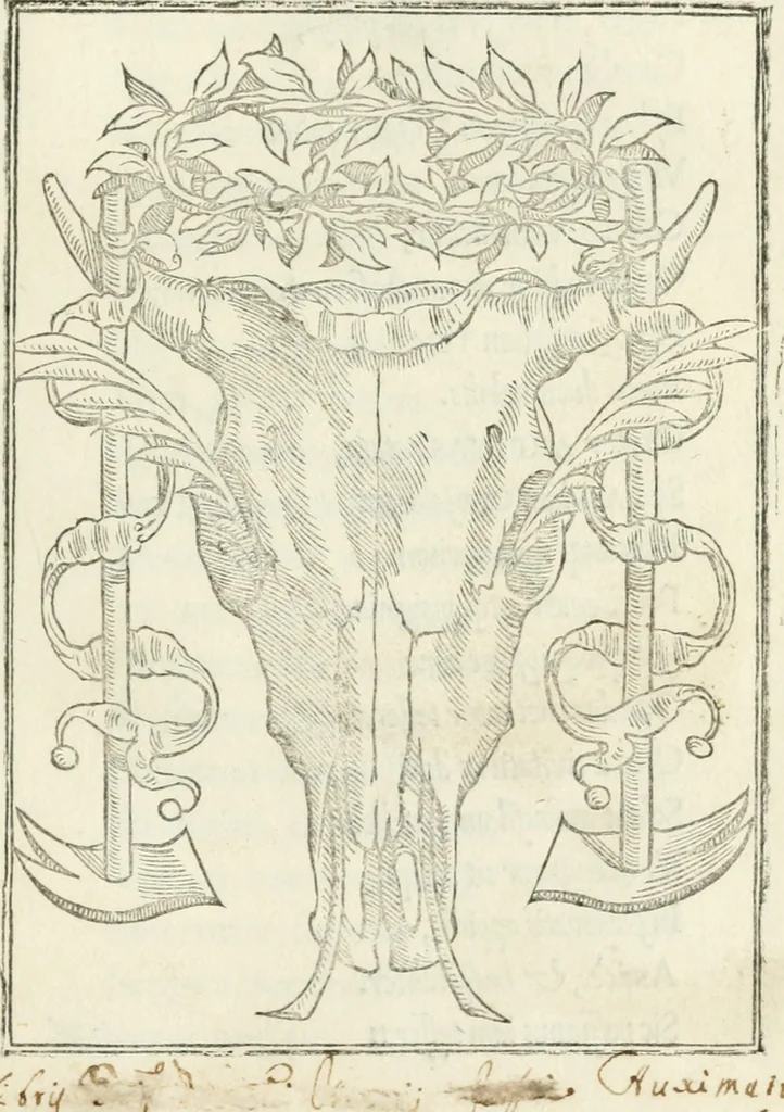 An illustration from Achillis Bocchii Bonon. Symbolicarvm quaestionvm de vniverso genere qvas serio lvdebat libri qvinqve, 1555, leaf 10