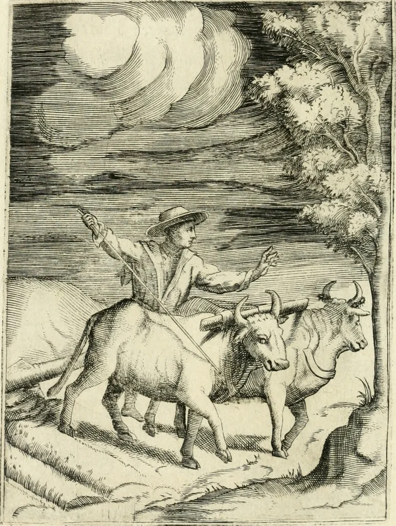 An illustration from Achillis Bocchii Bonon. Symbolicarvm quaestionvm de vniverso genere qvas serio lvdebat libri qvinqve, 1555, leaf 101