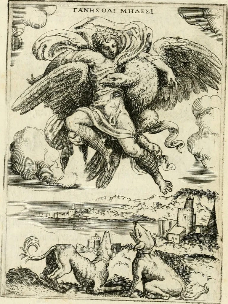 An illustration from Achillis Bocchii Bonon. Symbolicarvm quaestionvm de vniverso genere qvas serio lvdebat libri qvinqve, 1555, leaf 185