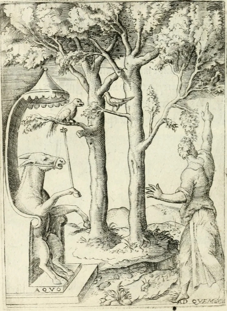 An illustration from Achillis Bocchii Bonon. Symbolicarvm quaestionvm de vniverso genere qvas serio lvdebat libri qvinqve, 1555, leaf 207