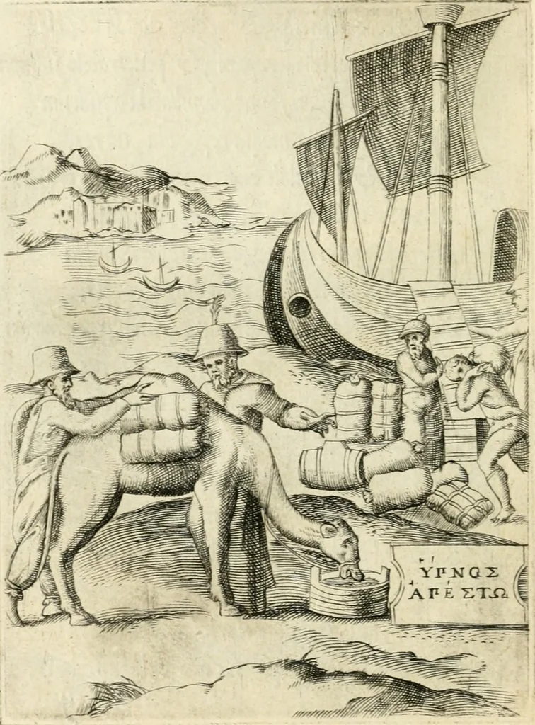 An illustration from Achillis Bocchii Bonon. Symbolicarvm quaestionvm de vniverso genere qvas serio lvdebat libri qvinqve, 1555, leaf 219