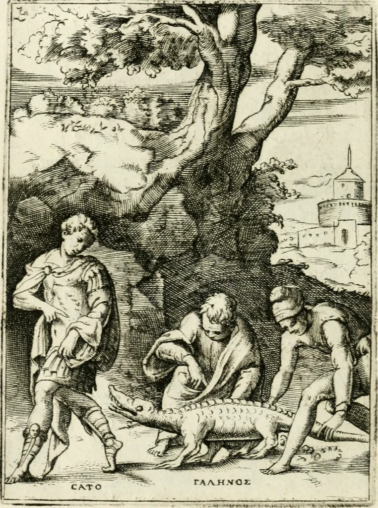 An illustration from Achillis Bocchii Bonon. Symbolicarvm quaestionvm de vniverso genere qvas serio lvdebat libri qvinqve, 1555, leaf 227