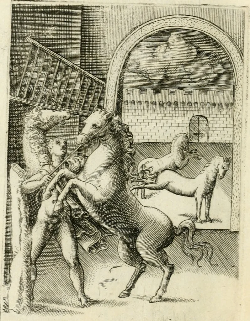 An illustration from Achillis Bocchii Bonon. Symbolicarvm quaestionvm de vniverso genere qvas serio lvdebat libri qvinqve, 1555, leaf 263