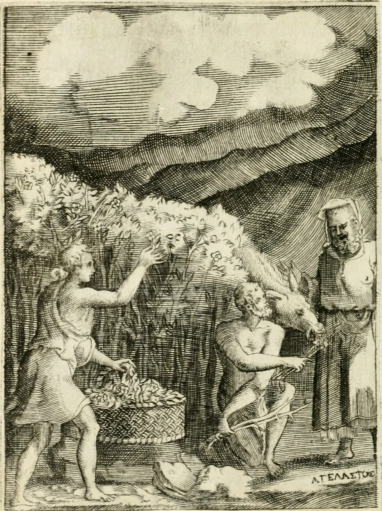 An illustration from Achillis Bocchii Bonon. Symbolicarvm quaestionvm de vniverso genere qvas serio lvdebat libri qvinqve, 1555, leaf 269