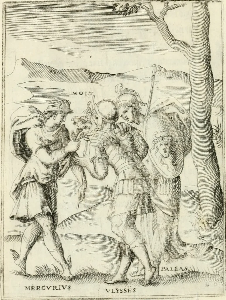 An illustration from Achillis Bocchii Bonon. Symbolicarvm quaestionvm de vniverso genere qvas serio lvdebat libri qvinqve, 1555, leaf 295
