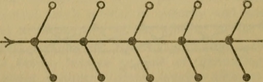 An illustration from Body and mind; a history and a defence of animism, 1920, leaf 155