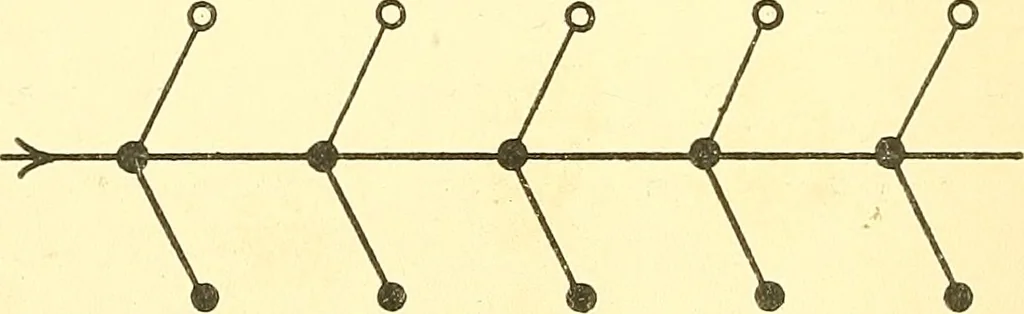 An illustration from Body and mind: a history and a defense of animism, 1911, leaf 155