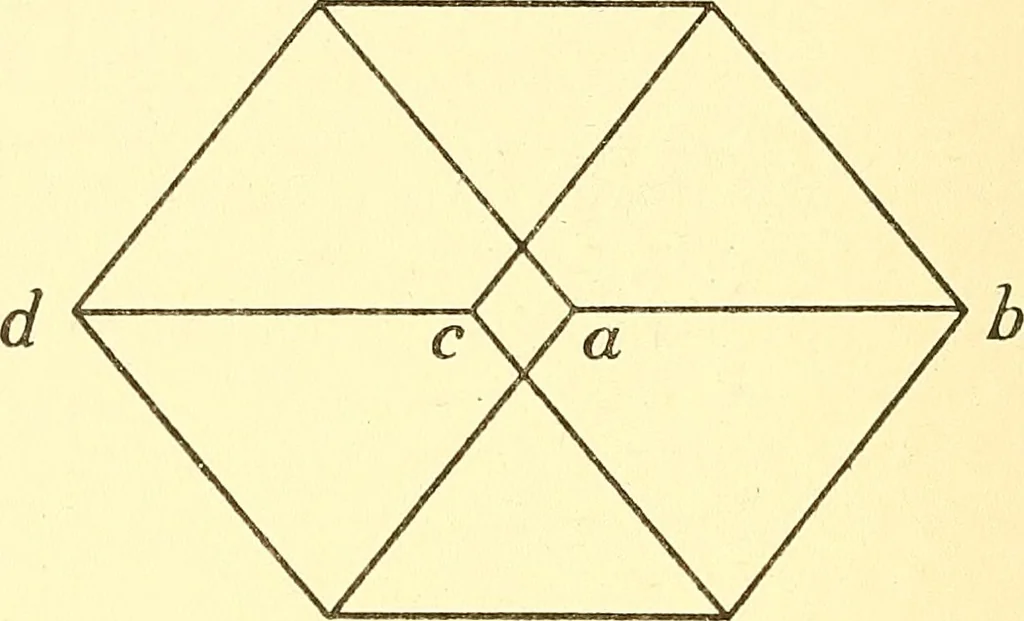 An illustration from Body and mind: a history and a defense of animism, 1911, leaf 331